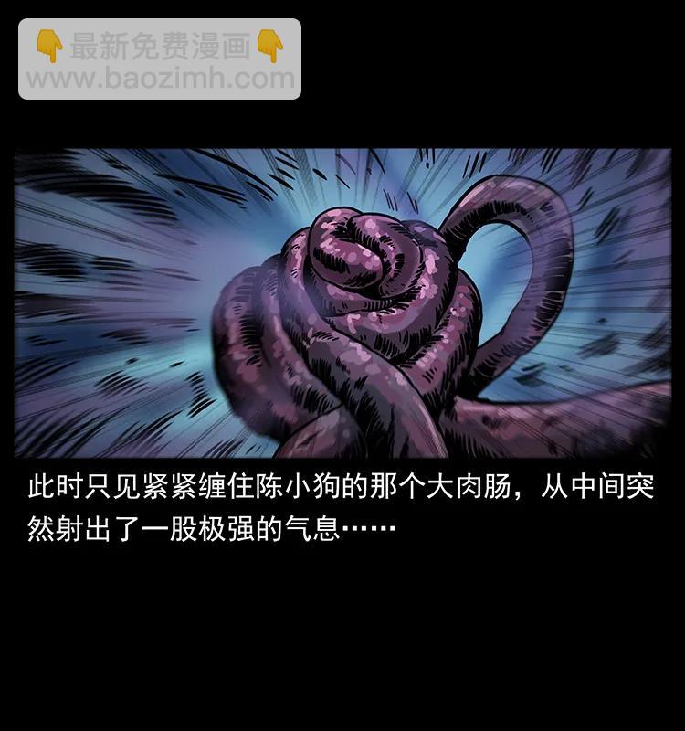 🍜幽冥诡匠 242 陈小狗失算了 第42页