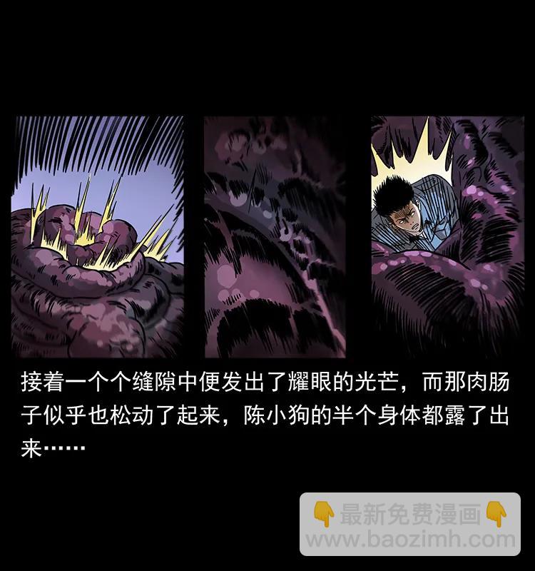 🍜幽冥诡匠 242 陈小狗失算了 第43页