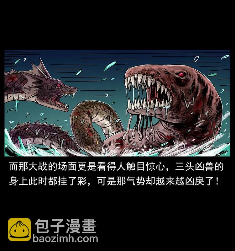 🍜幽冥诡匠 244 神迹 第14页