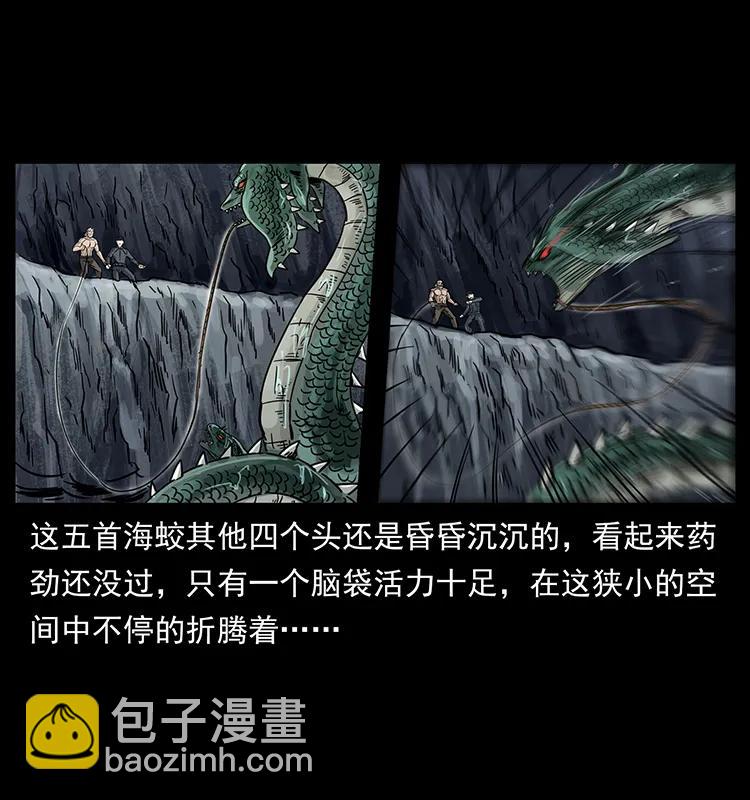 🍜幽冥诡匠 248 月蚀之夜 第11页