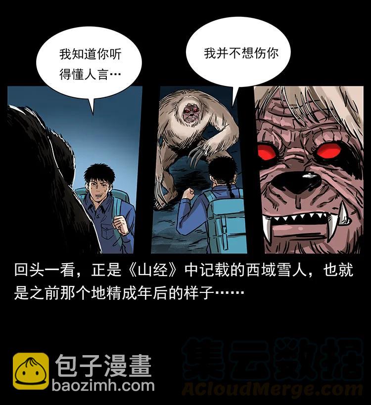 🍜幽冥诡匠 268 昆仑精灵 第17页