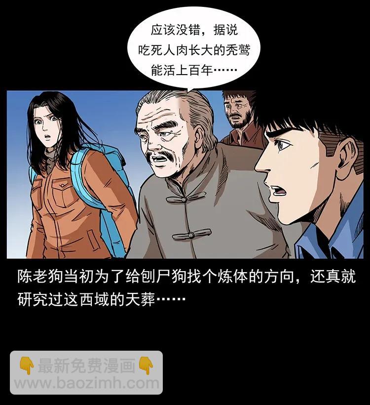 🍜幽冥诡匠 280 西域食尸鬼 第28页