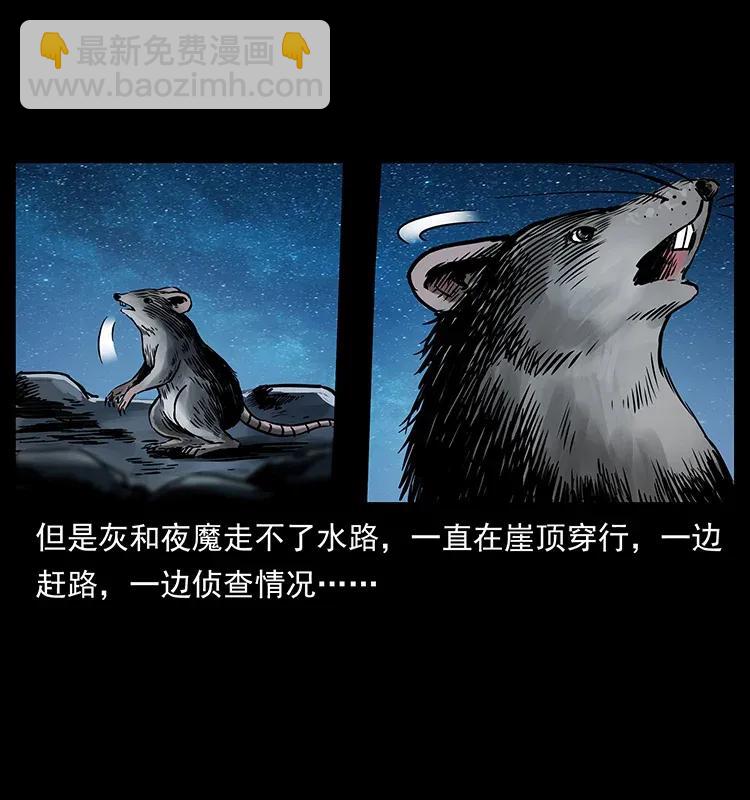 🍜幽冥诡匠 280 西域食尸鬼 第3页