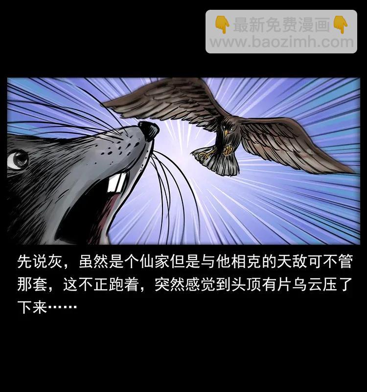 🍜幽冥诡匠 280 西域食尸鬼 第4页