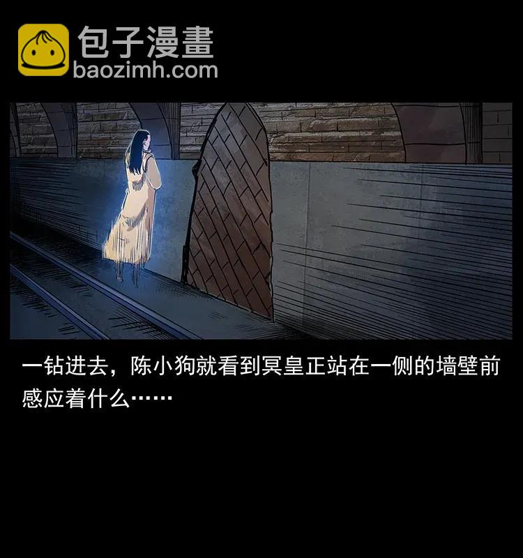 🍜幽冥诡匠 300 大冥皇 第30页