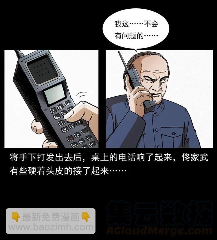 🍜幽冥诡匠 308 佟家的饭局 第29页