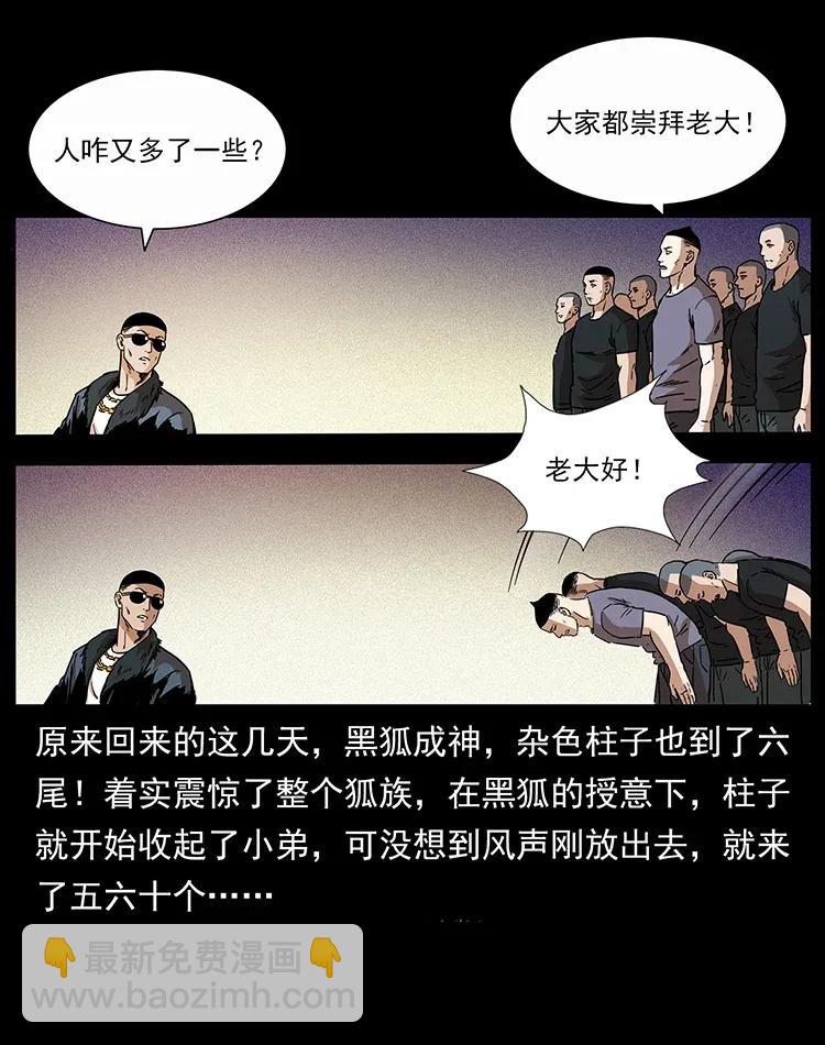 🍜幽冥诡匠 310 黑狐的神仙日子 第15页