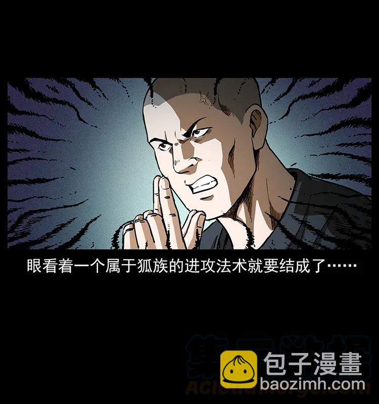 🍜幽冥诡匠 310 黑狐的神仙日子 第25页