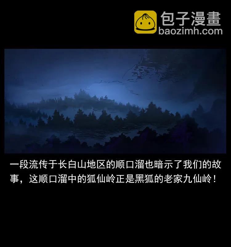 🍜幽冥诡匠 310 黑狐的神仙日子 第3页