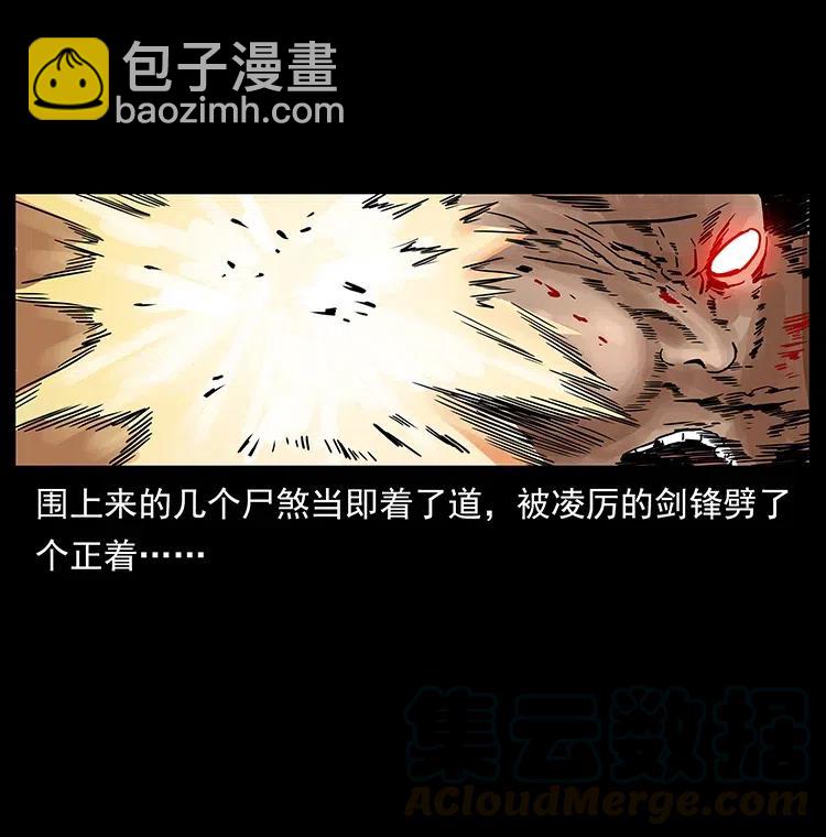 🍜幽冥诡匠 314 湘西斗尸 第17页