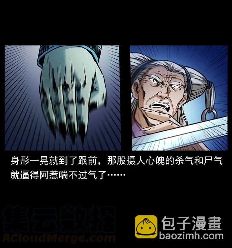🍜幽冥诡匠 314 湘西斗尸 第29页
