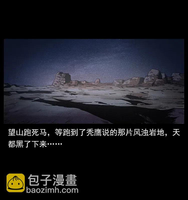 🍜幽冥诡匠 318 沙漠秃鹰 第12页