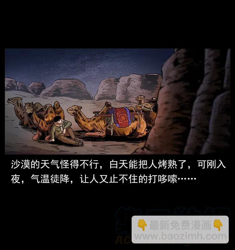 🍜幽冥诡匠 318 沙漠秃鹰 第13页