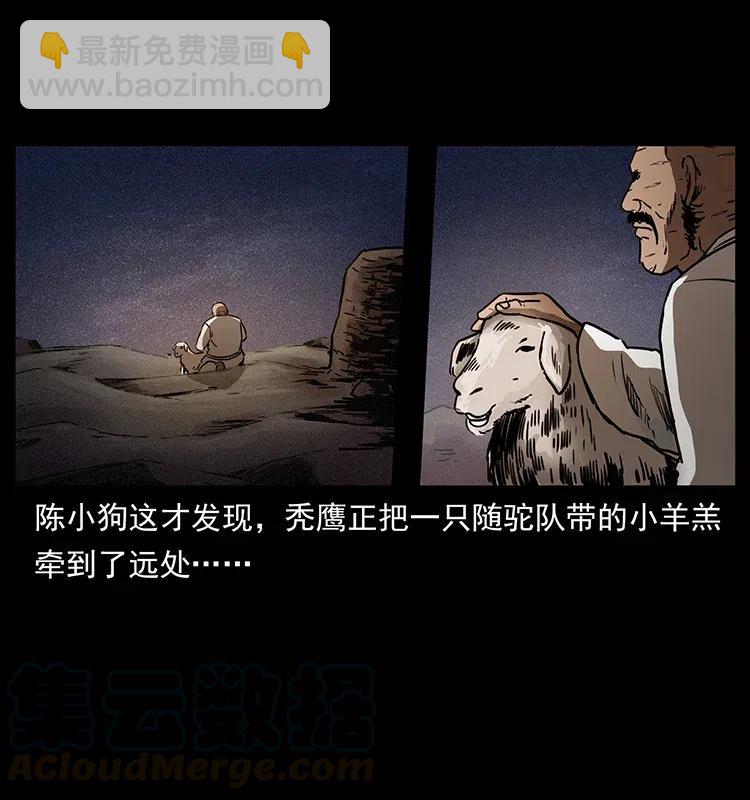 🍜幽冥诡匠 318 沙漠秃鹰 第17页