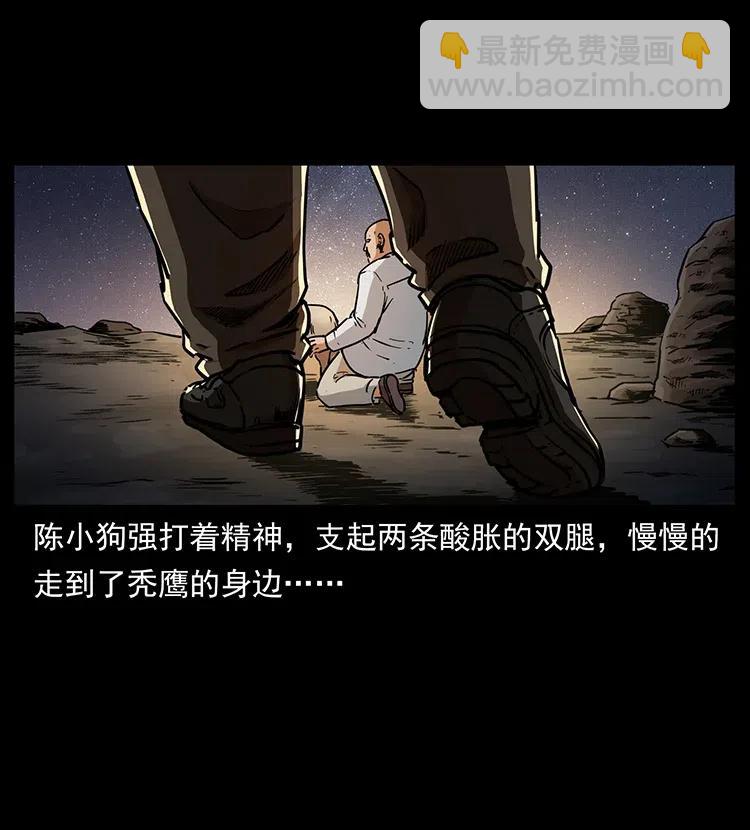 🍜幽冥诡匠 318 沙漠秃鹰 第18页