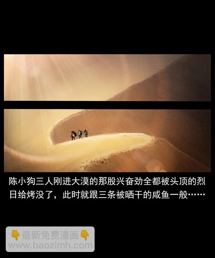 🍜幽冥诡匠 318 沙漠秃鹰 第2页