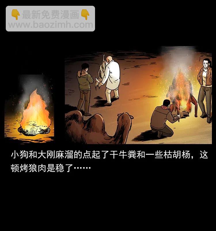 🍜幽冥诡匠 318 沙漠秃鹰 第40页