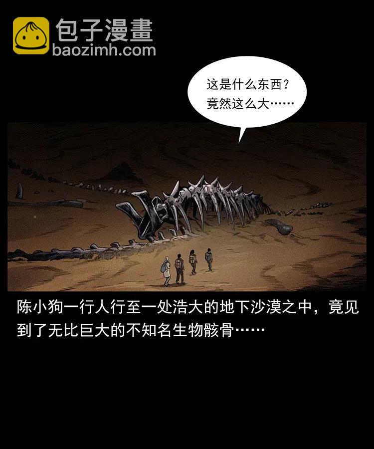🍜幽冥诡匠 322 生死罗布泊 第2页