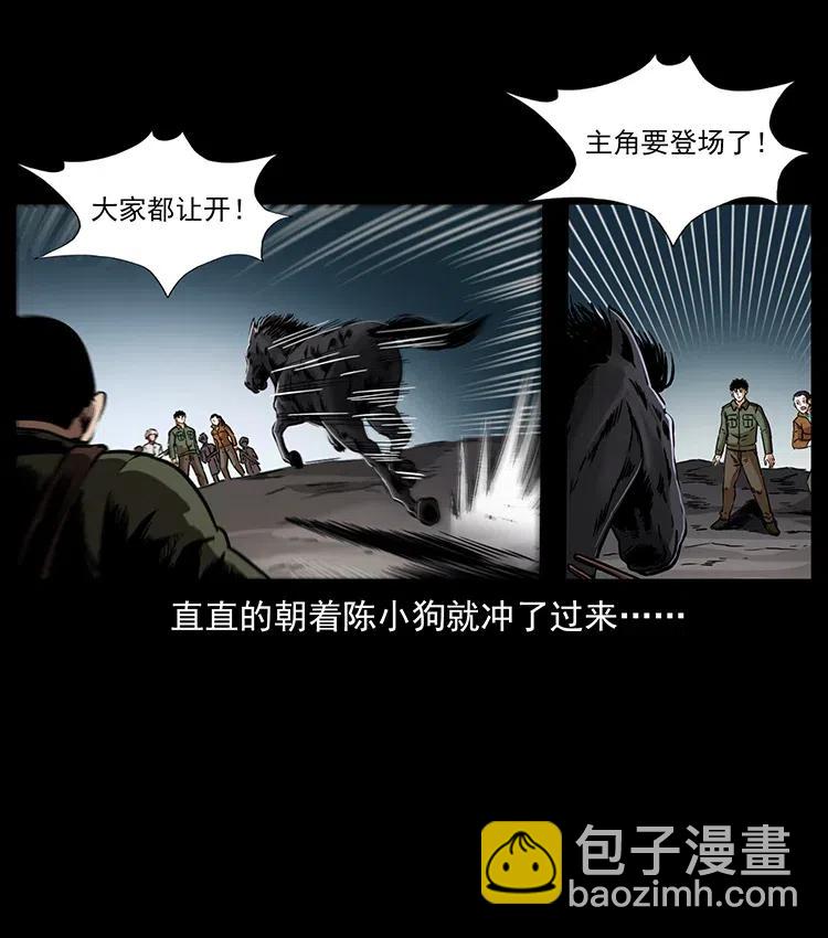 🍜幽冥诡匠 326 妖驹乌云 第46页