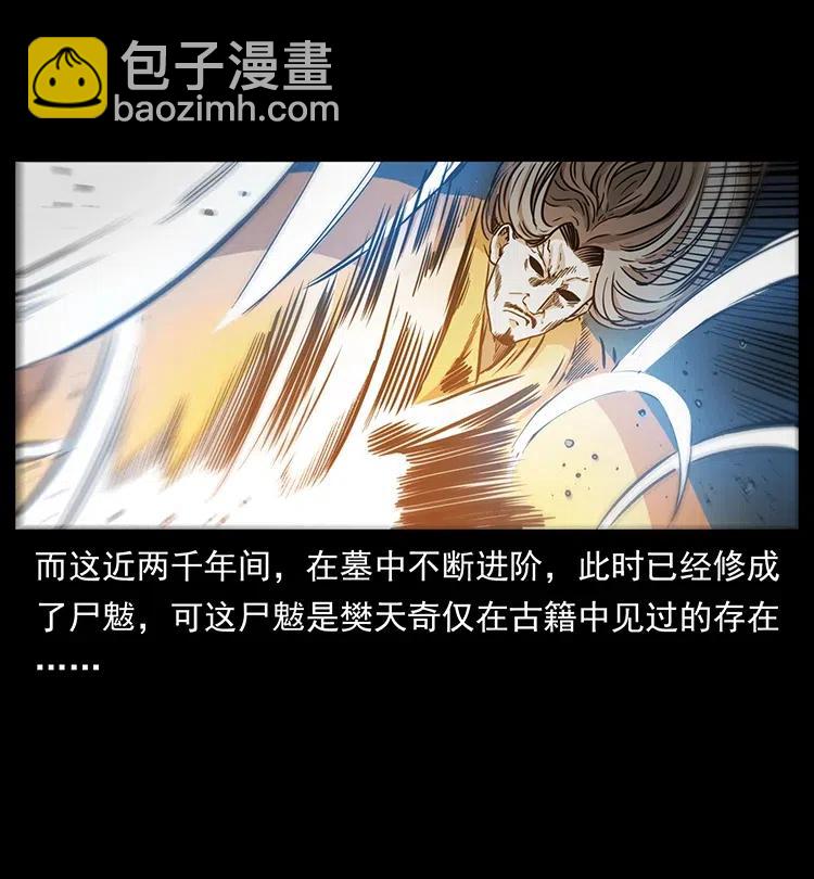 🍜幽冥诡匠 332 挺进大湘西 第11页