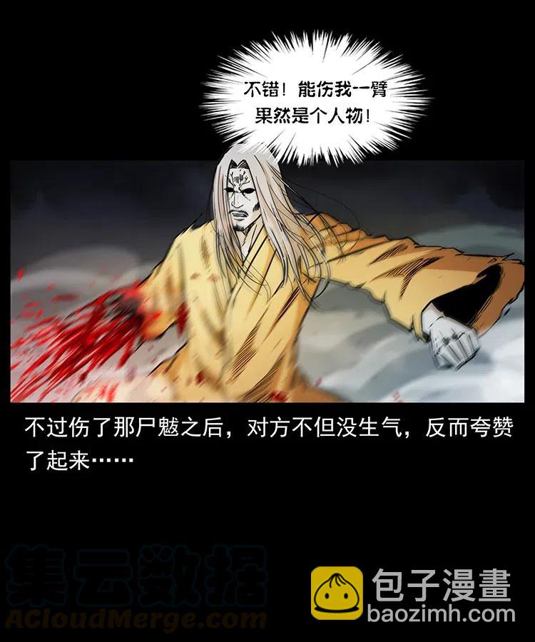 🍜幽冥诡匠 332 挺进大湘西 第17页