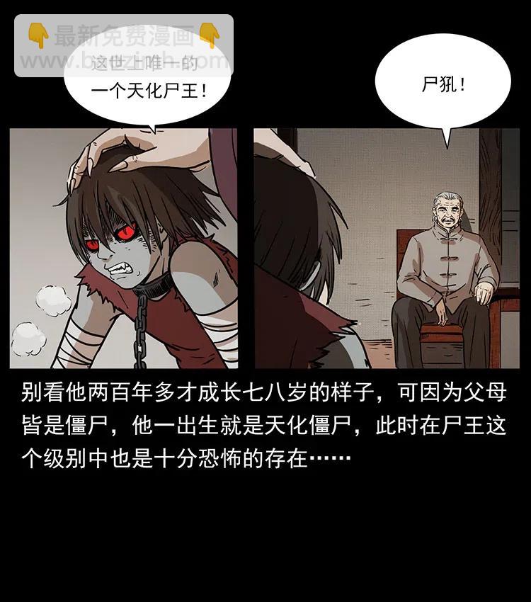 🍜幽冥诡匠 332 挺进大湘西 第35页