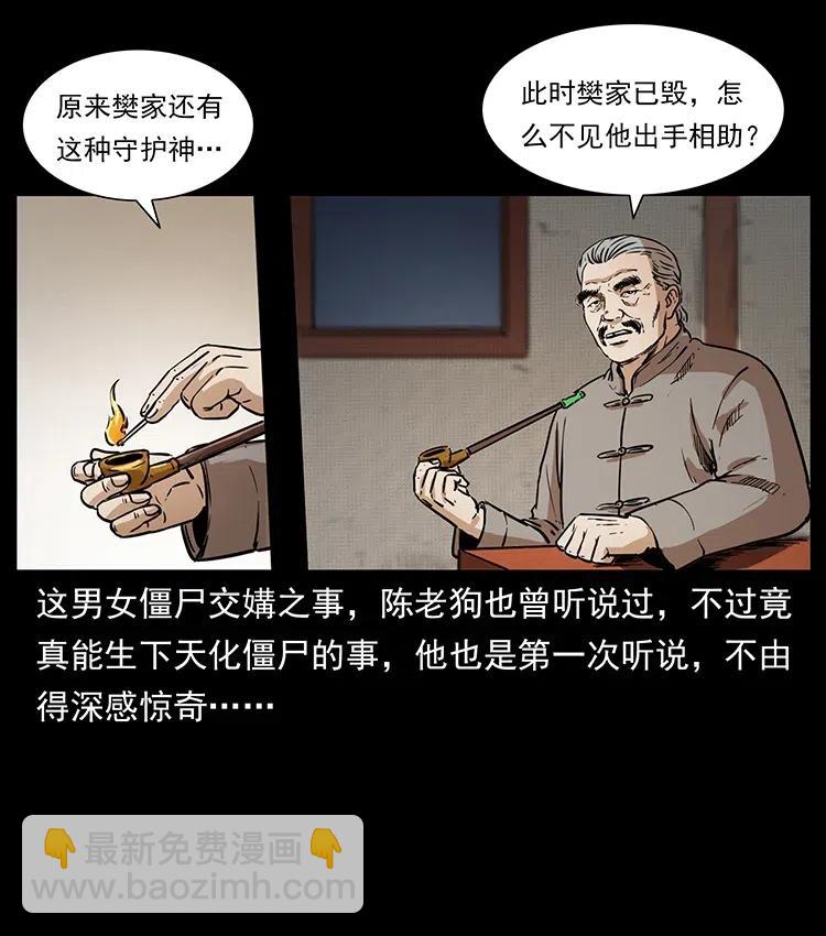 🍜幽冥诡匠 332 挺进大湘西 第36页