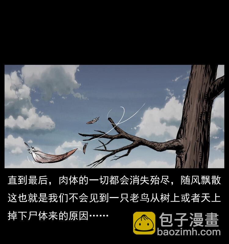 🍜幽冥诡匠 036 百雀丹（上） 第10页