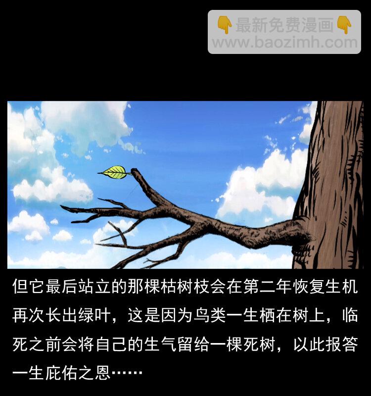 🍜幽冥诡匠 036 百雀丹（上） 第11页
