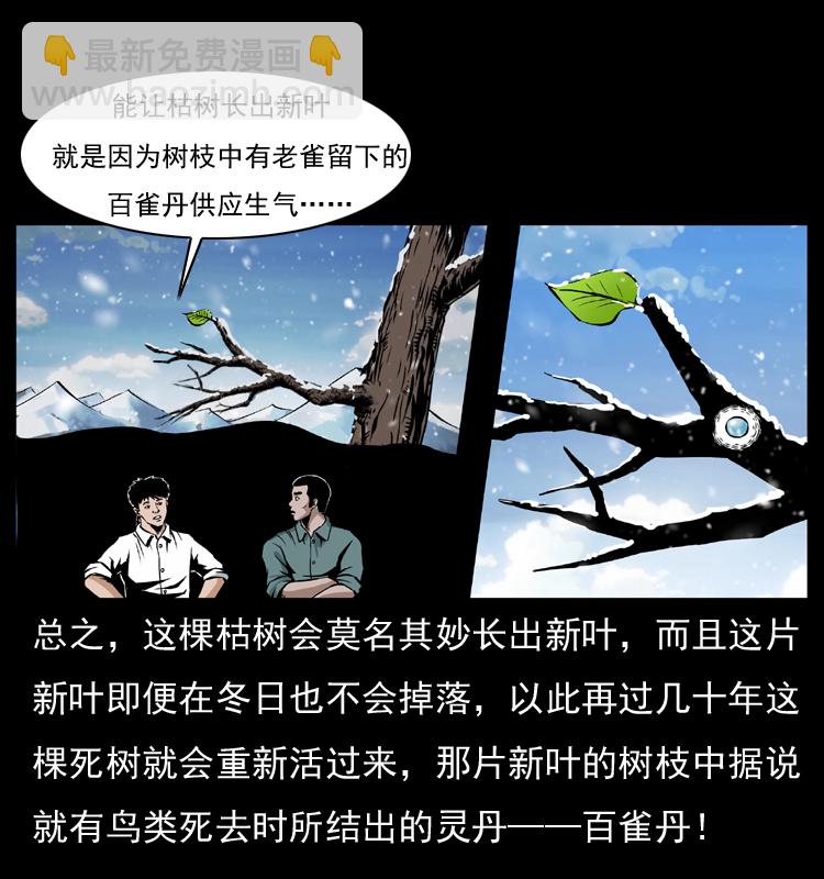 🍜幽冥诡匠 036 百雀丹（上） 第12页