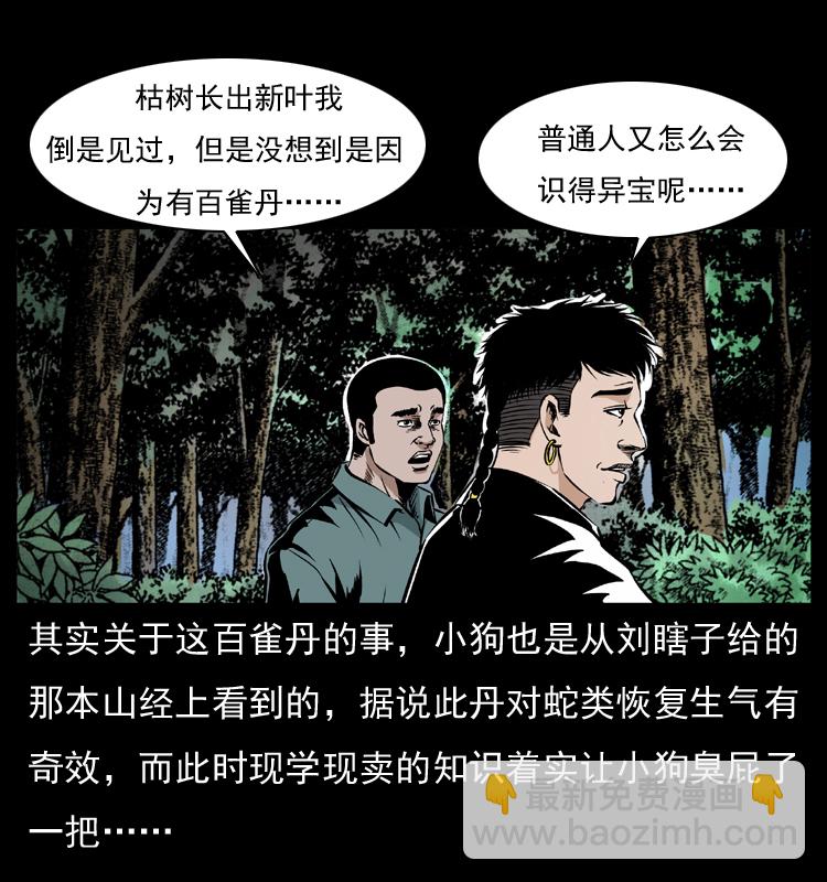 🍜幽冥诡匠 036 百雀丹（上） 第13页