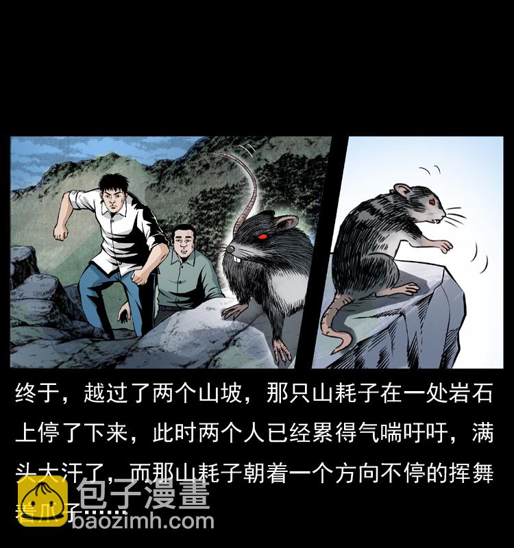 🍜幽冥诡匠 036 百雀丹（上） 第31页