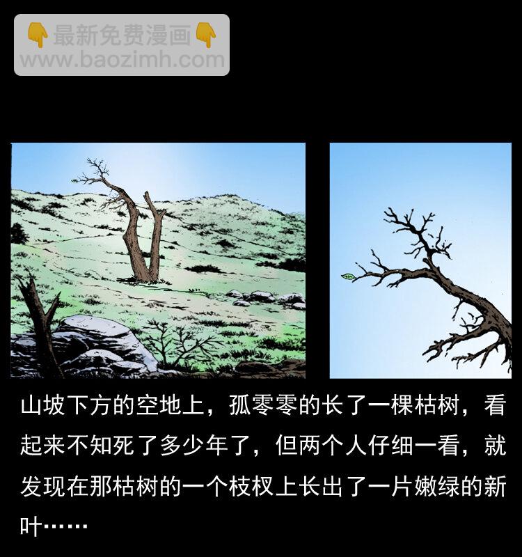 🍜幽冥诡匠 036 百雀丹（上） 第33页