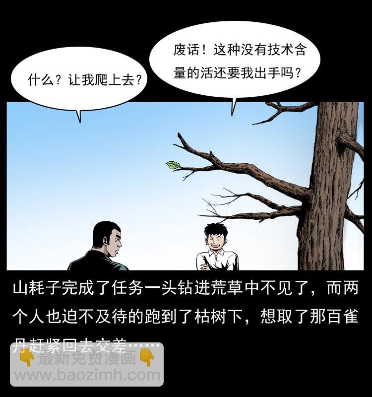 🍜幽冥诡匠 036 百雀丹（上） 第34页