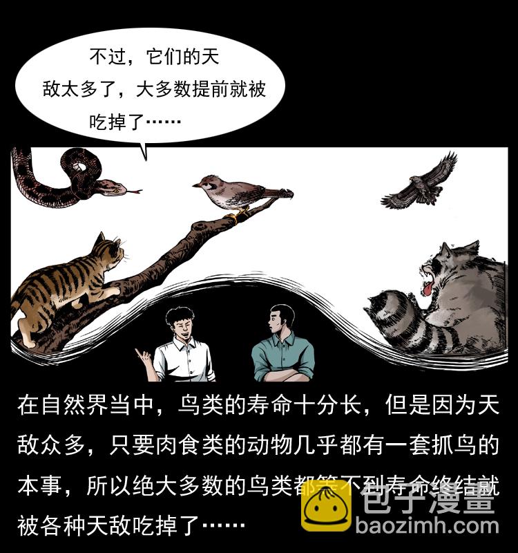 🍜幽冥诡匠 036 百雀丹（上） 第7页