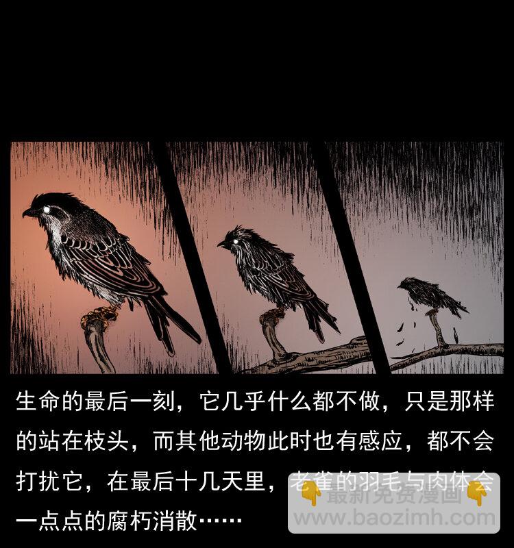 🍜幽冥诡匠 036 百雀丹（上） 第9页