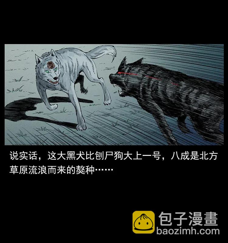 🍜幽冥诡匠 344 刨尸狗&大冥皇 第14页