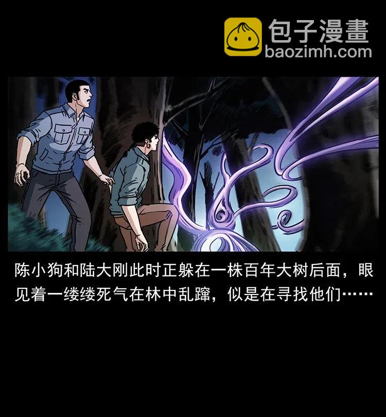 🍜幽冥诡匠 362 半神之境 第35页