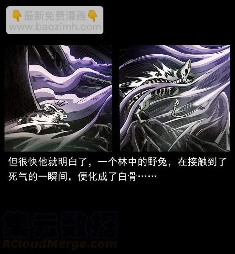 🍜幽冥诡匠 362 半神之境 第37页