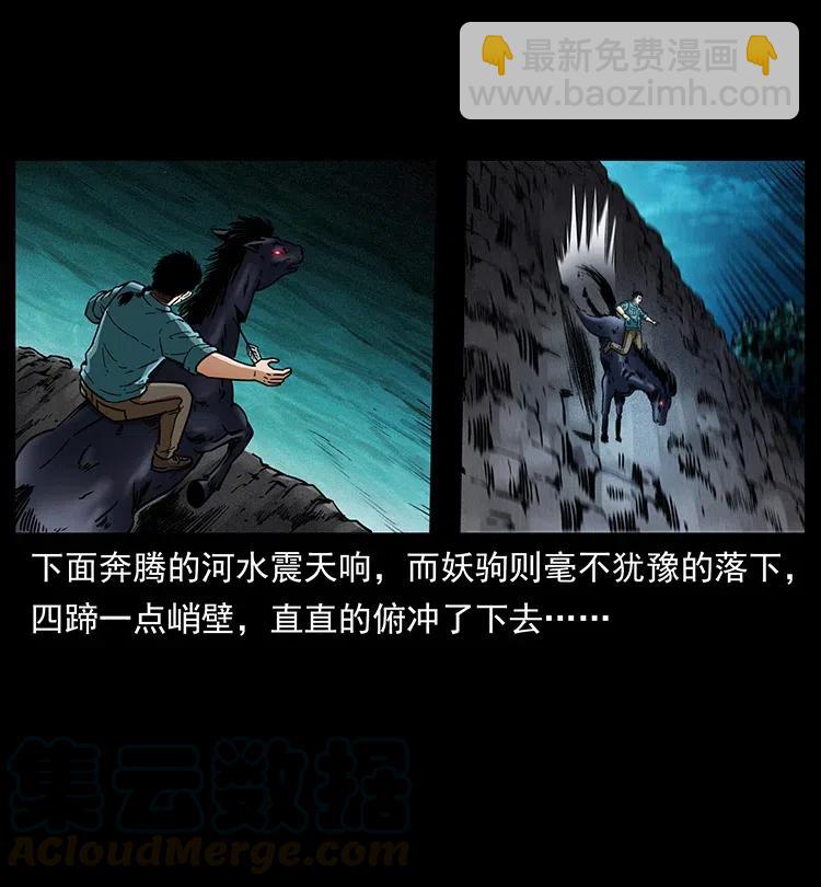 🍜幽冥诡匠 370 乌翅凤凰 第10页
