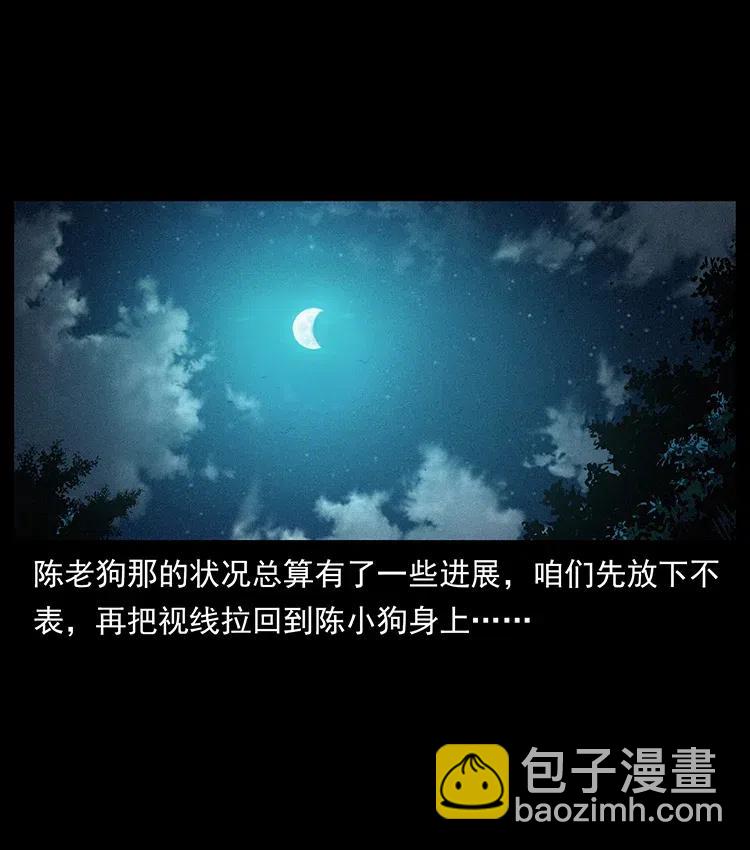 🍜幽冥诡匠 370 乌翅凤凰 第2页