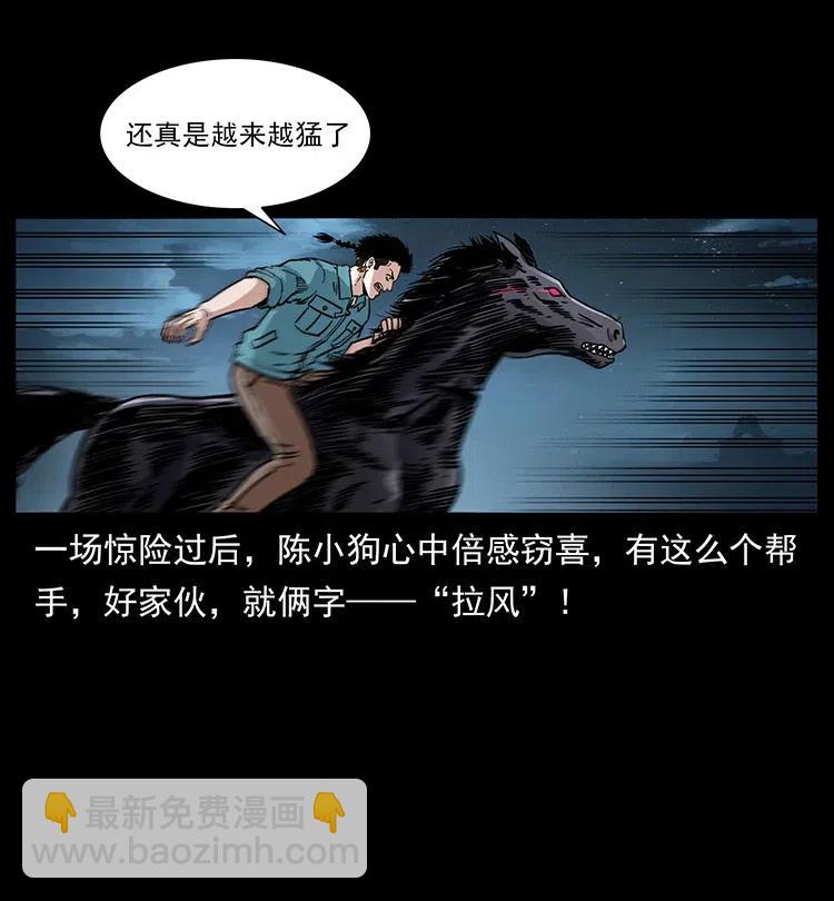 🍜幽冥诡匠 370 乌翅凤凰 第21页