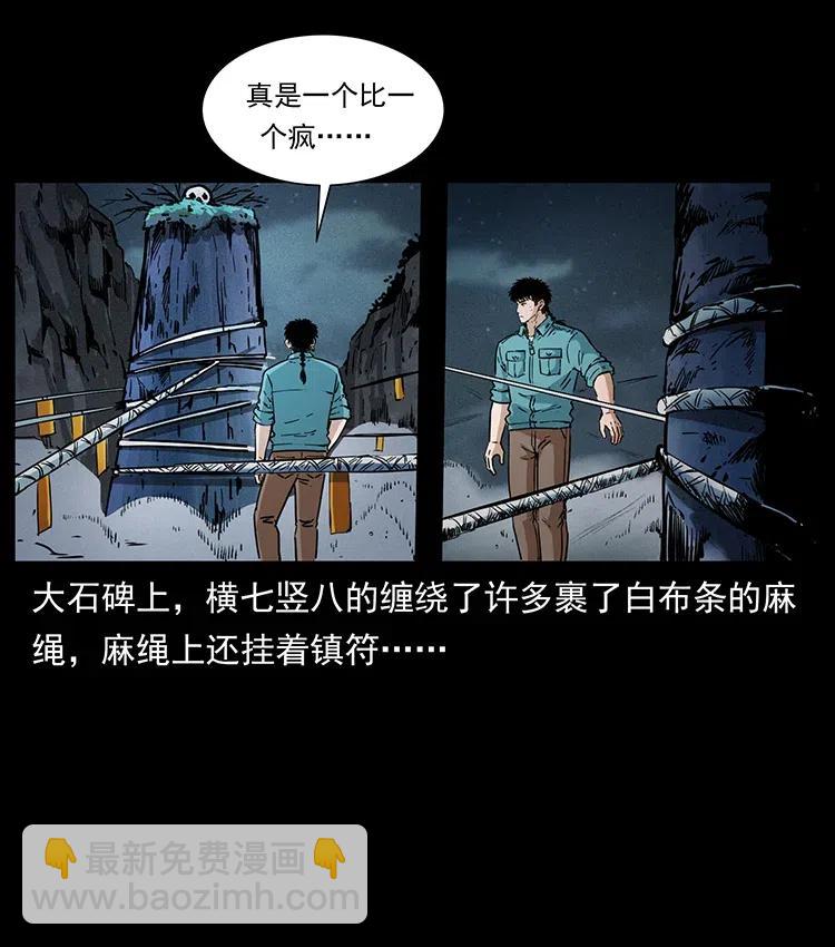 🍜幽冥诡匠 370 乌翅凤凰 第27页