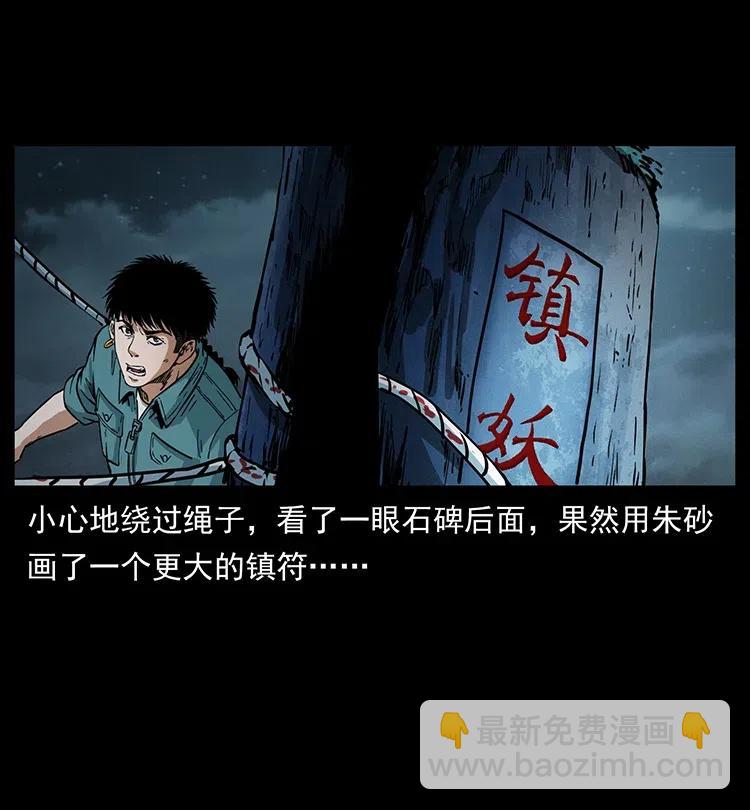 🍜幽冥诡匠 370 乌翅凤凰 第29页