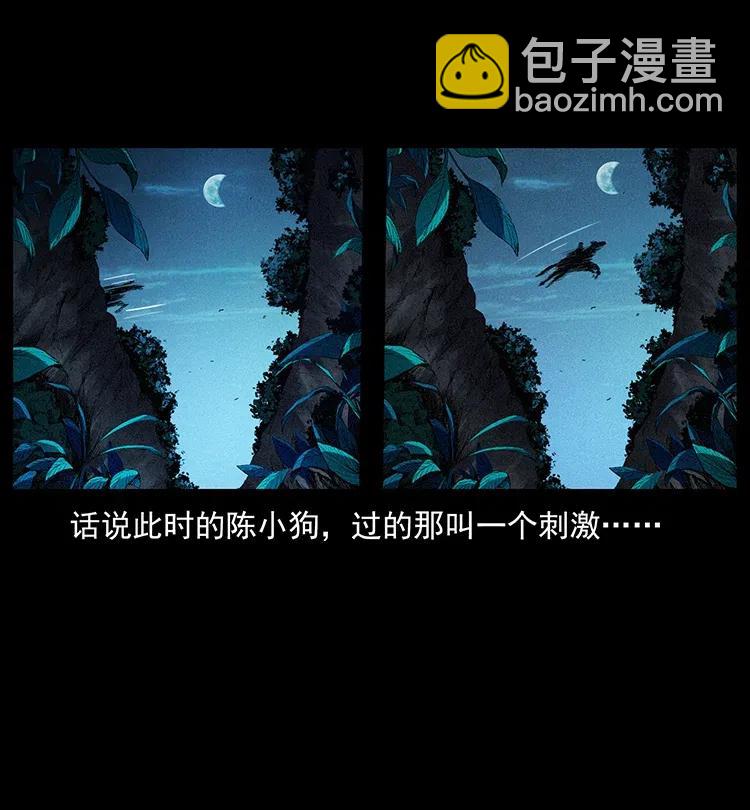 🍜幽冥诡匠 370 乌翅凤凰 第3页
