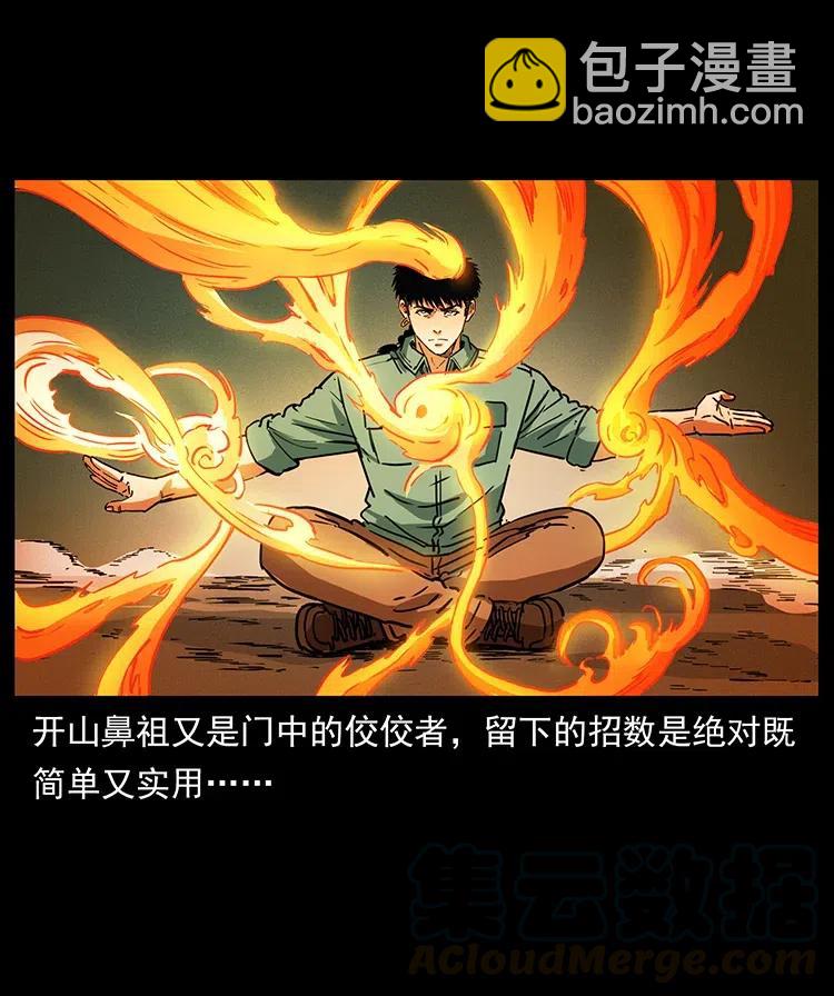 🍜幽冥诡匠 370 乌翅凤凰 第34页