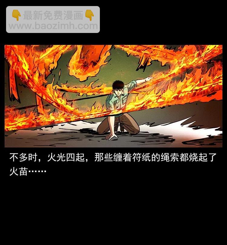 🍜幽冥诡匠 370 乌翅凤凰 第38页