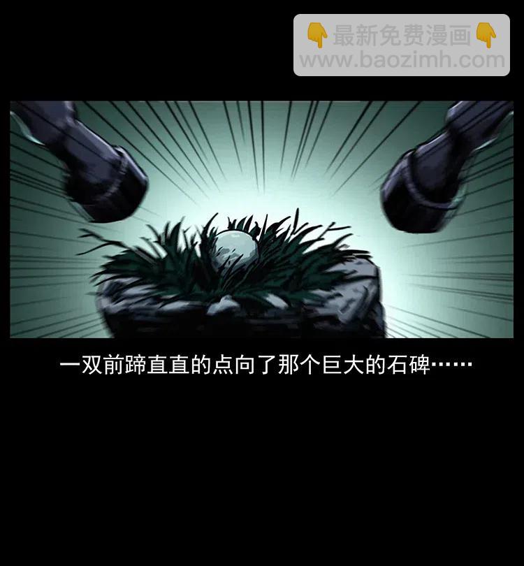 🍜幽冥诡匠 370 乌翅凤凰 第41页