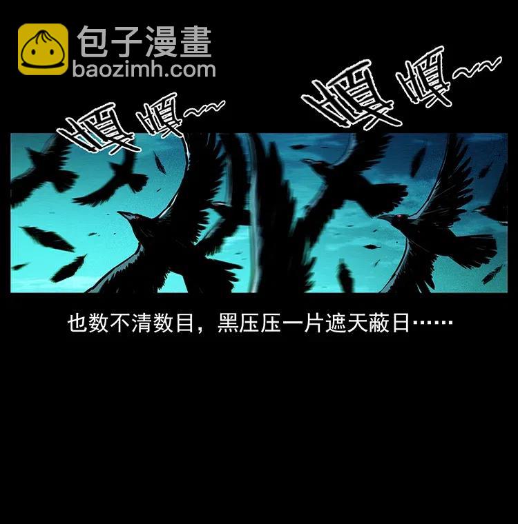 🍜幽冥诡匠 370 乌翅凤凰 第47页