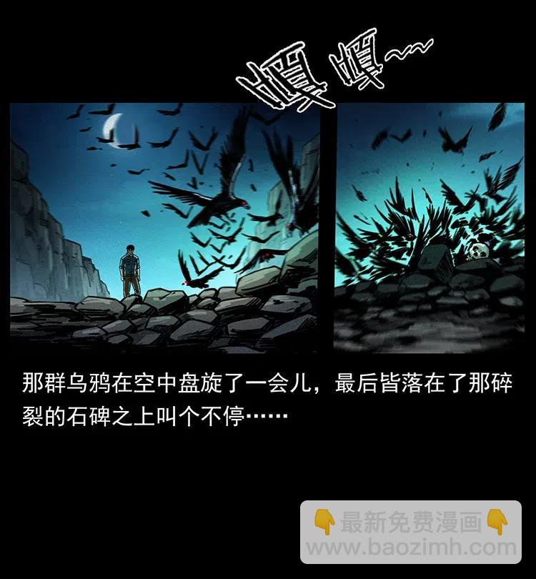 🍜幽冥诡匠 370 乌翅凤凰 第48页